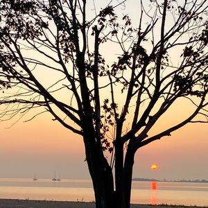 Meet your Posher, Osvaldo